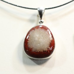 Coral fósil colgante