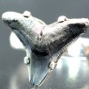 Anillo diente de tiburón