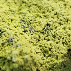 Nontrovita