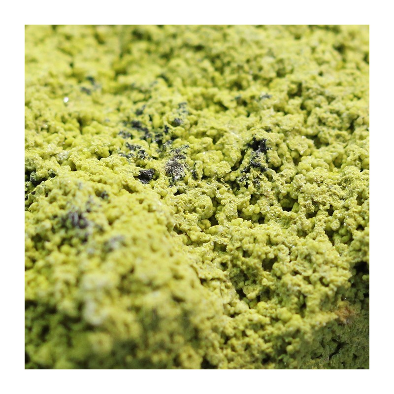 Nontrovita