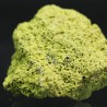 Nontrovita