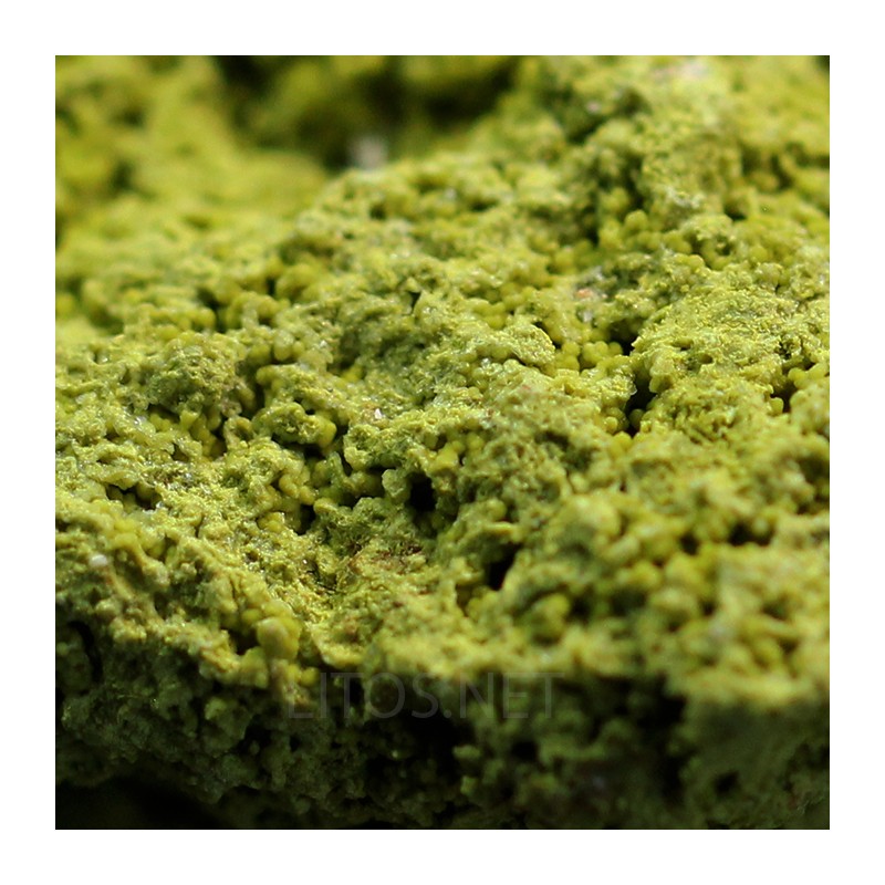 Nontrovita