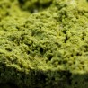 Nontrovita