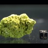 Nontrovita