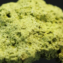 Nontrovita