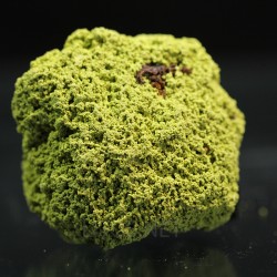 Nontrovita