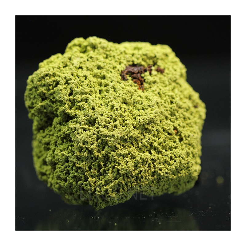 Nontrovita