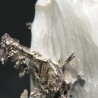 Plata nativa y discrasita