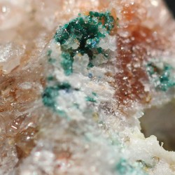 Hebertsimithita