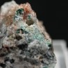 Hebertsimithita
