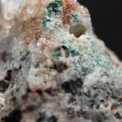 Hebertsimithita
