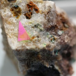 Boleita