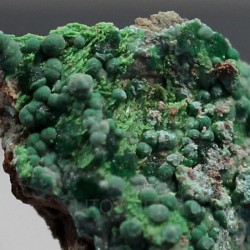 Goldhillita