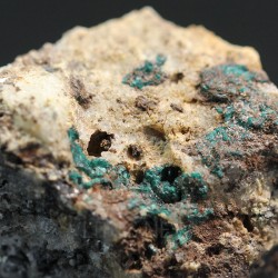 Clinoatacamita