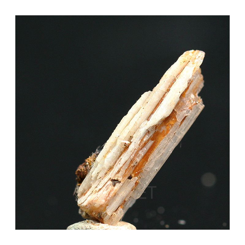 Cerusita