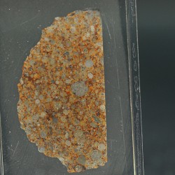 NWA 17167, lámina delgada
