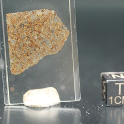 NWA 17167, lámina delgada