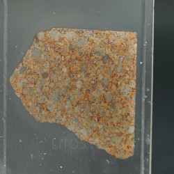 NWA 17167, lámina delgada