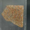 NWA 17167, lámina delgada