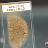 NWA 17167, lámina delgada