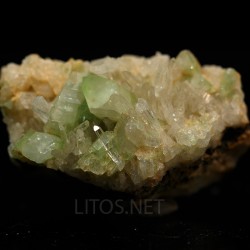 Augelita