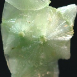 Wavelita