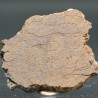 Meteorito acondrita winonaita