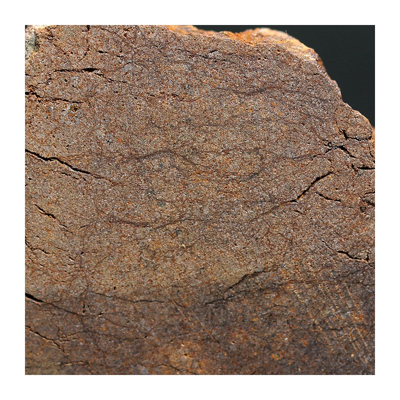 Meteorito acondrita winonaita