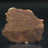 Meteorito acondrita winonaita