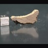 Meteorito acondrita winonaita