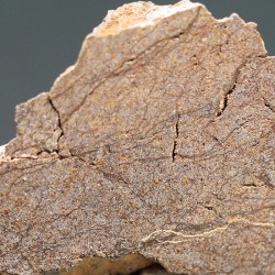 Meteorito acondrita winonaita