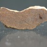 Meteorito acondrita winonaita