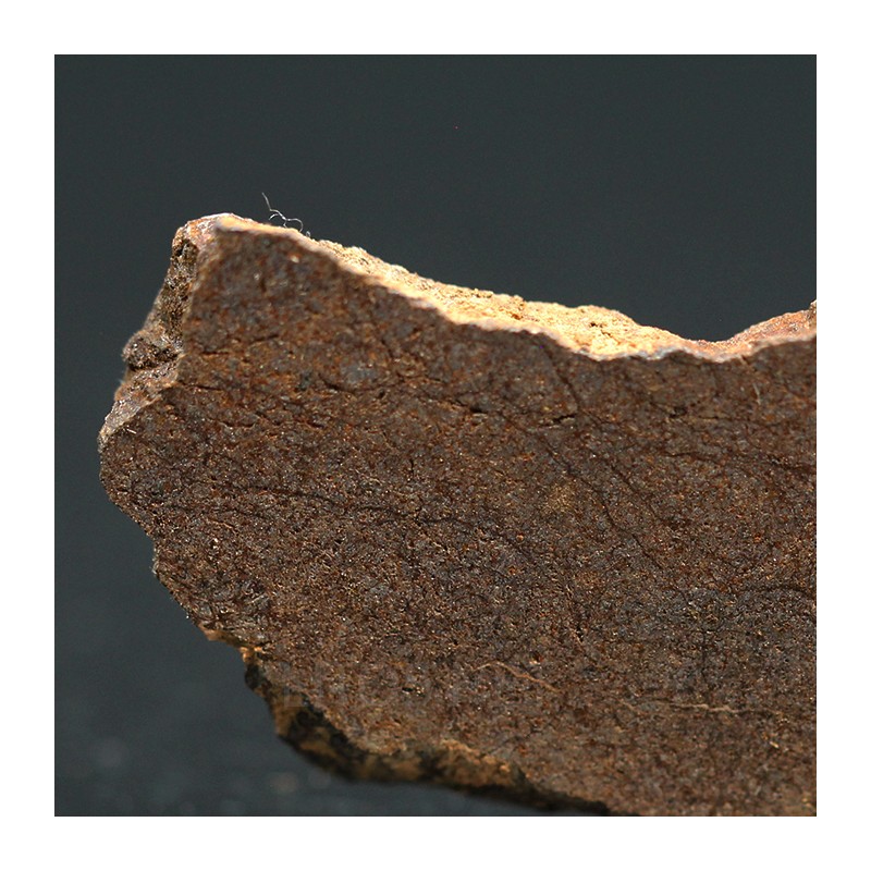 Meteorito acondrita winonaita
