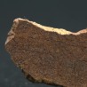 Meteorito acondrita winonaita