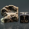 Meteorito de Marte, Amgala 001