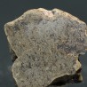 Meteorito de Marte, Amgala 001