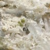 Nifontovita