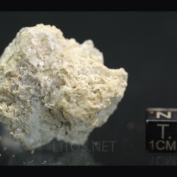 Nifontovita