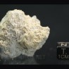 Nifontovita