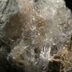 Nifontovita