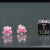 Rubi pendientes