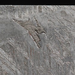 Meteorito Aletai