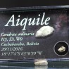 Meteorito Aiquile