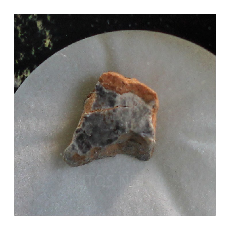 Meteorito lunar brecha anortosita