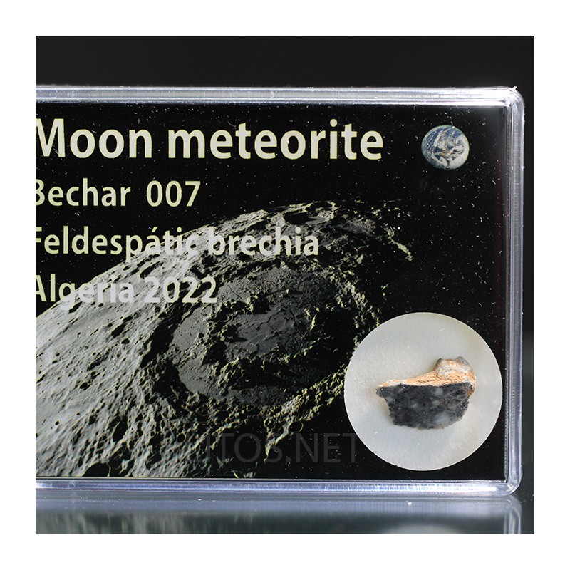 Meteorito lunar brecha anortosita