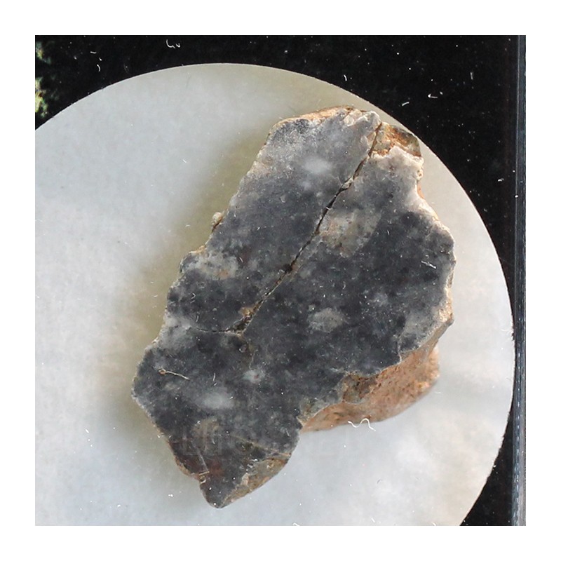 Meteorito lunar brecha anortosita