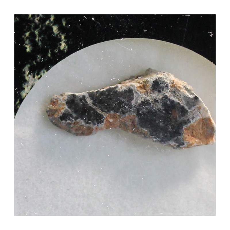 Meteorito lunar brecha anortosita