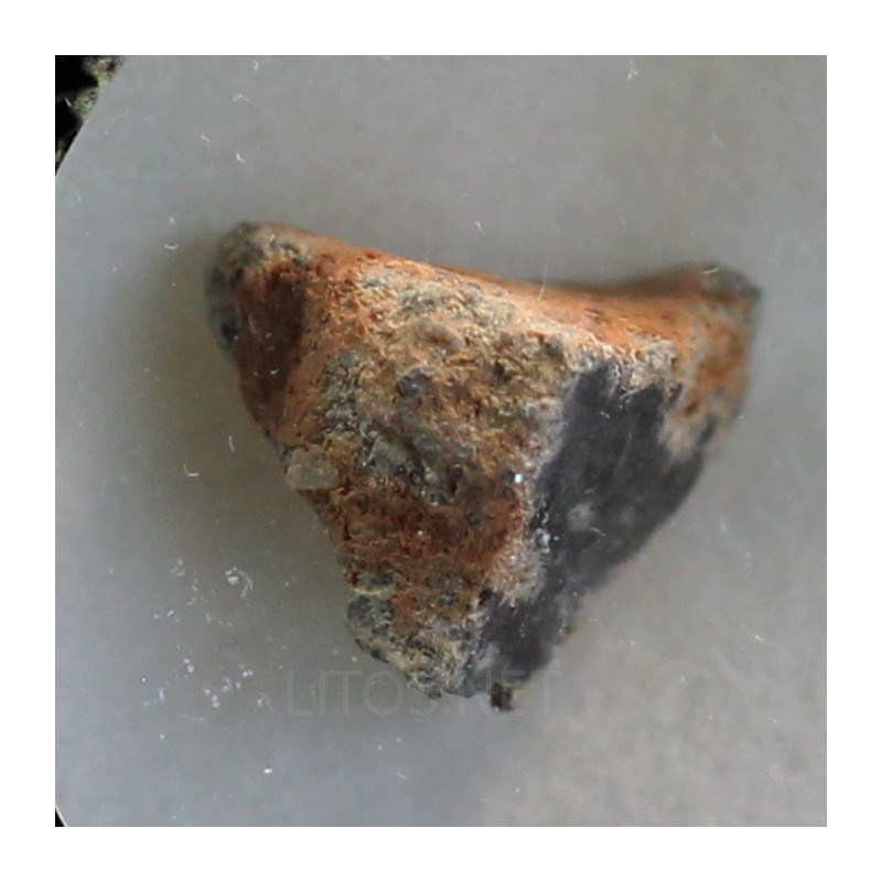 Meteorito lunar brecha anortosita