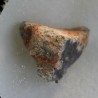 Meteorito lunar brecha anortosita