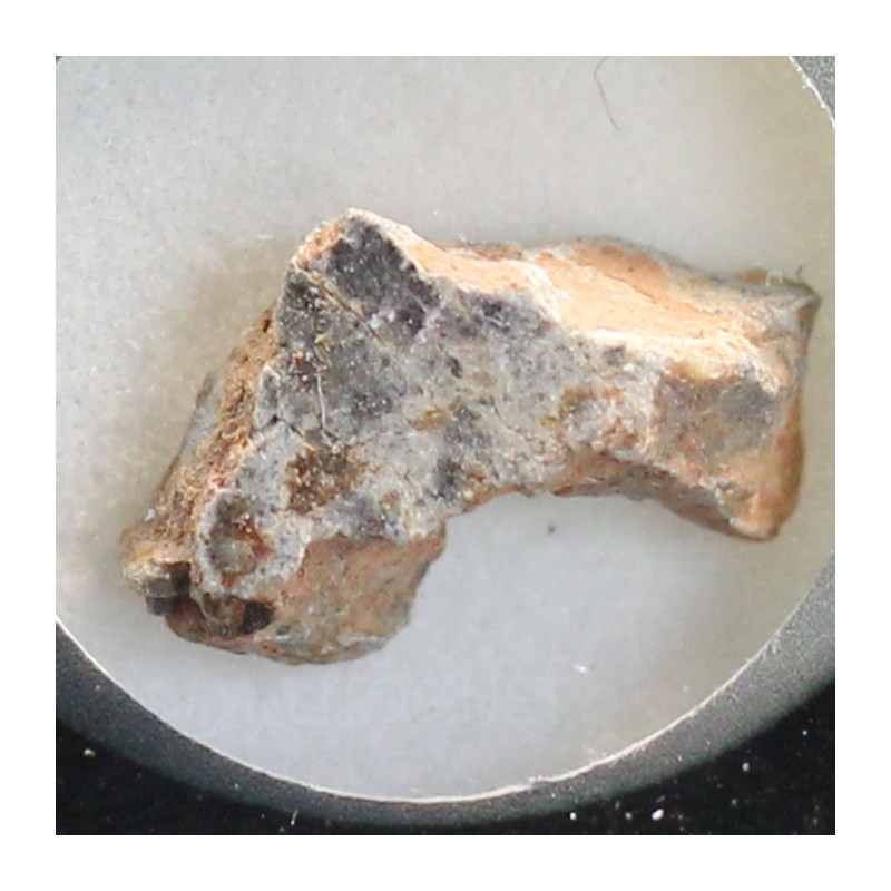 Meteorito lunar brecha anortosita